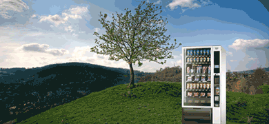 Necta_bosque-360x180_1.gif