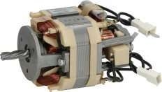 Motor 230V 50Hz para café Motor 230V 50Hz para café