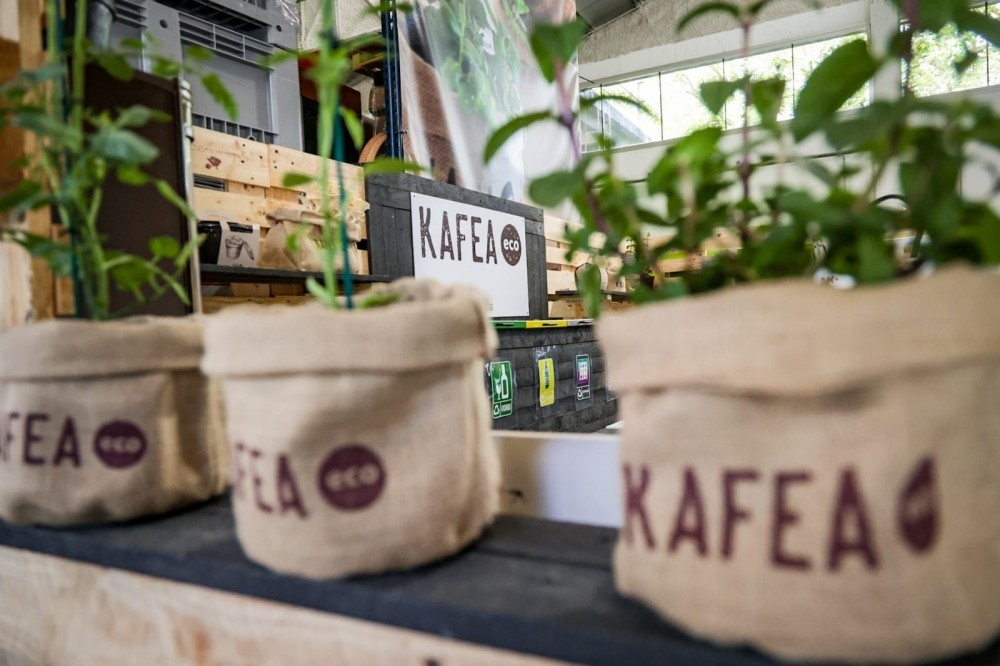 presentación café proyecto sostenible