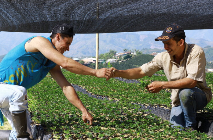 Foto cedida por Las Manos del Café