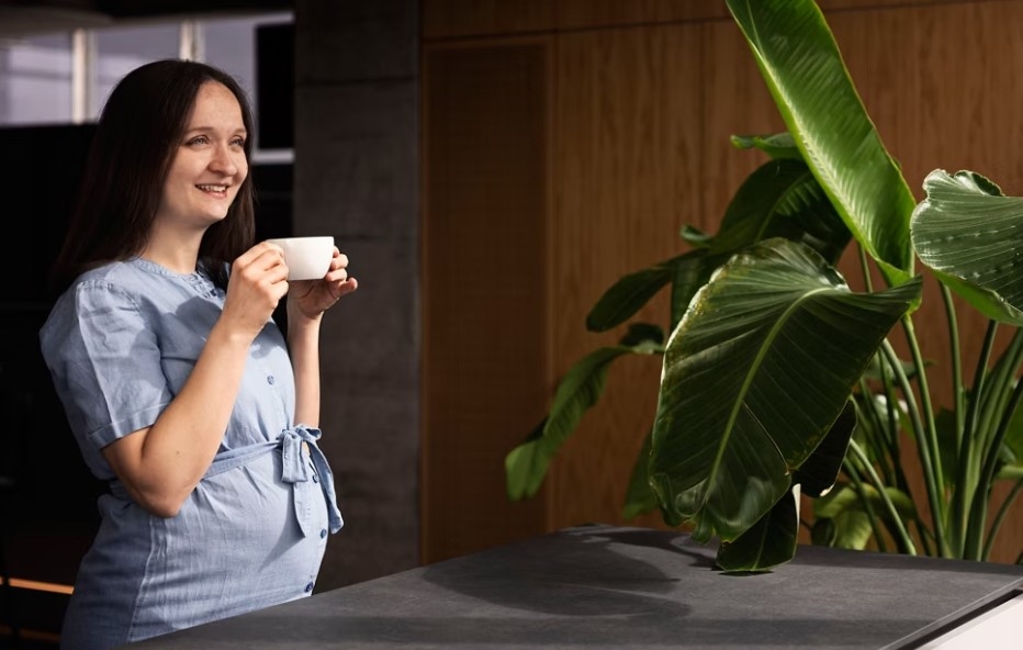 Franke empleo fabricantes