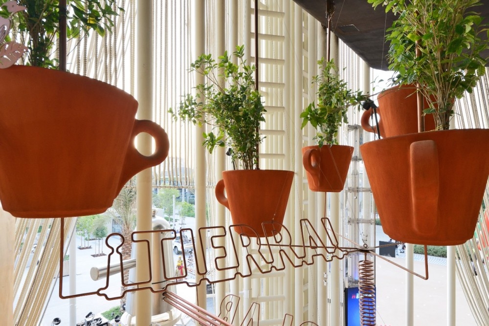 café sostenibilidad Lavazza