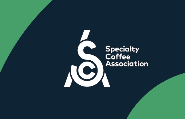 SCA, candidato Junta Directiva