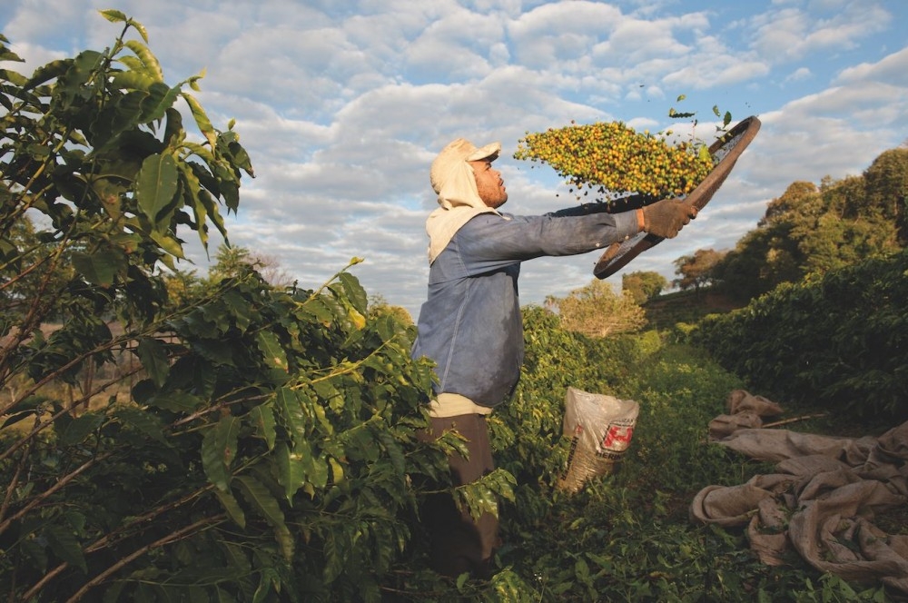 Lavazza sostenibilidad