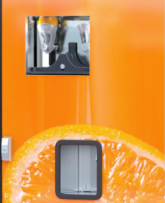 SISTEMA EXPRIMIDO SISTEMA EXPRIMIDO