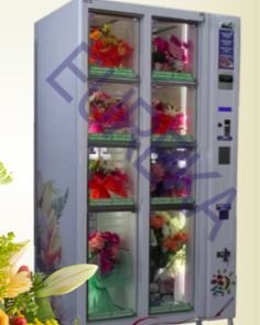 Surprise Flores Surprise Flores