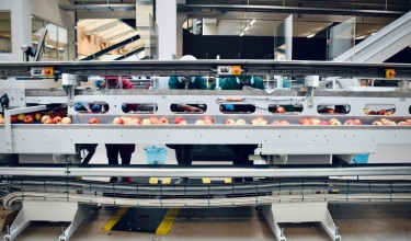 Mercadona abre su primer centro logístico semiautomatizado para pedidos online en Vallecas