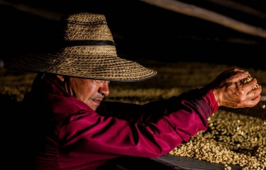 El café de todo un país en las máquinas vending Juan Valdez El café de todo un país en las máquinas vending Juan Valdez