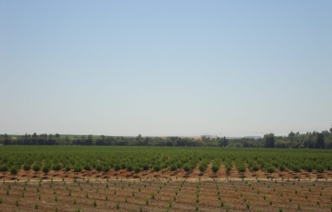 Los frutos secos de Borges elevan un 150% su beneficio neto respecto al ejercicio pasado