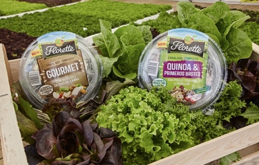 La IV gama cuya estela no pierde de vista el vending saludable: aumenta el consumo de ensaladas fuera del hogar