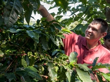 'Grow Forward', el café como actividad sostenible y rentable, gana el MBA Challenge