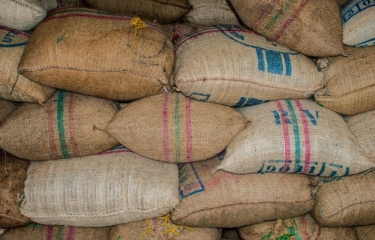 La exportación de café colombiano aumenta un 10% hasta agosto La exportación de café colombiano aumenta un 10% hasta agosto