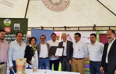 Illycaffe llega a un acuerdo para comprar produccion de exguerrilleros FARC
