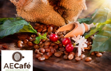Rocío Hervella (PROSOL), nueva presidenta de la Asociación Española del Café (AECafé) Rocío Hervella (PROSOL), nueva presidenta de la Asociación Española del Café (AECafé)