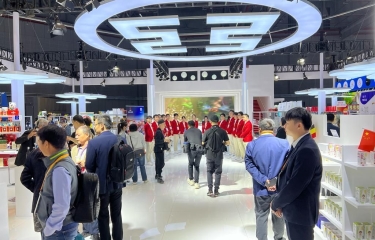 AEV representa con sus soluciones automatizadas a España e Italia en la sexta CIIE en China