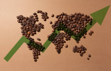 Alza histórica en la producción y exportación del café