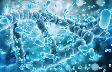 Aprobado el nuevo Real Decreto para la prevención y el control de bacterias en el agua