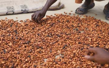 Barry crece en todas sus regiones y encuentra dificultades en la zona UE