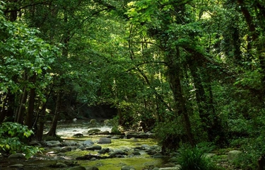 Todas las plantas de Nestlé Waters estarán certificadas por la Alliance for Water Stewardship en 2025