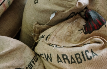 Brasil: Exportaciones de café se disparan en agosto con un aumento del 29,4%