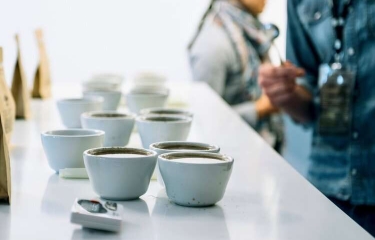 Brita apoya con dos becas al profesional del café especializado Brita apoya con dos becas al profesional del café especializado