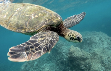 BRITA y Fundación CRAM: Una alianza para proteger los océanos