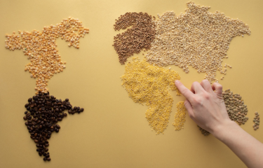 Café: Estabilidad y desafíos en su cotización al cierre del 4 de enero