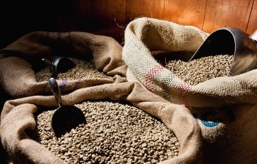 Los precios del café se mantienen en descenso ante las previsiones de producción