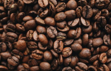 Café y sostenibilidad: El desafío de satisfacer el paladar y el planeta