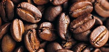 Los mejores cafés del mundo irán a Coffeena