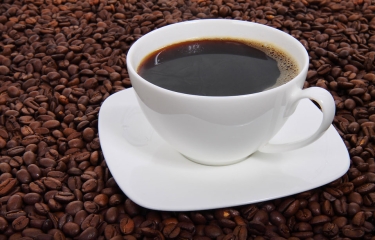Caída de los precios del café, un sabor amargo para los productores de granos exquisitos Caída de los precios del café, un sabor amargo para los productores de granos exquisitos