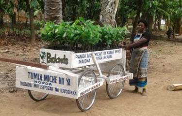 Hacia un vending más comprometido: empoderando a los agricultores de cacao