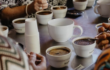 ¿Qué tipo de vaso prefieres para tomar tu café? ¿Qué tipo de vaso prefieres para tomar tu café?