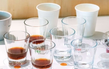 Dos días de investigaciones y experiencias sensoriales del café