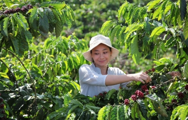 El ambicioso Plan de 2030 de Nestlé para fomentar un cultivo de café puramente sostenible El ambicioso Plan de 2030 de Nestlé para fomentar un cultivo de café puramente sostenible