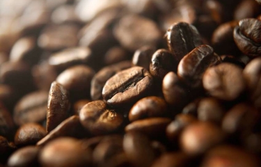 El café de Covim participará en el Gulfood 2022 en Dubai