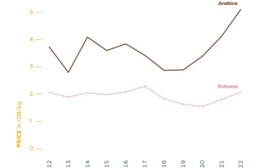 El café: entre el éxito del consumo y los desafíos del comercio