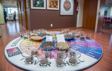 El nuevo protocolo para continuar disfrutando de las catas de café El nuevo protocolo para continuar disfrutando de las catas de café