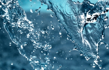 El otro gran aliado del verano, y del café, el agua (PARTE 8) El otro gran aliado del verano, y del café, el agua (PARTE 8)