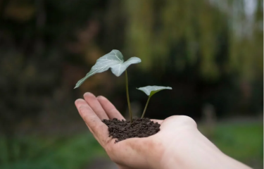 Entra en vigor la CAM en la distribución automática