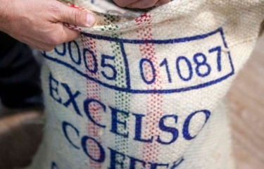 Especial Free standing: el café en el vending más clásico (PARTE 4) Especial Free standing: el café en el vending más clásico (PARTE 4)