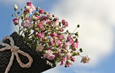 Flores al instante dentro de un sistema modular para el operador