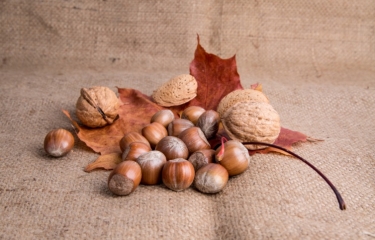 El mercado de los frutos secos y snacks mantiene su crecimiento