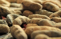 Los snacks de frutos secos son ejemplo de dieta mediterránea saludable  Los snacks de frutos secos son ejemplo de dieta mediterránea saludable