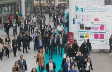 Entre negocios y tendencias, Host 2019