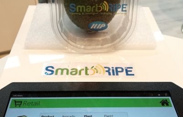 ILIP lanza un embalaje que detecta en grado de madurez de la fruta