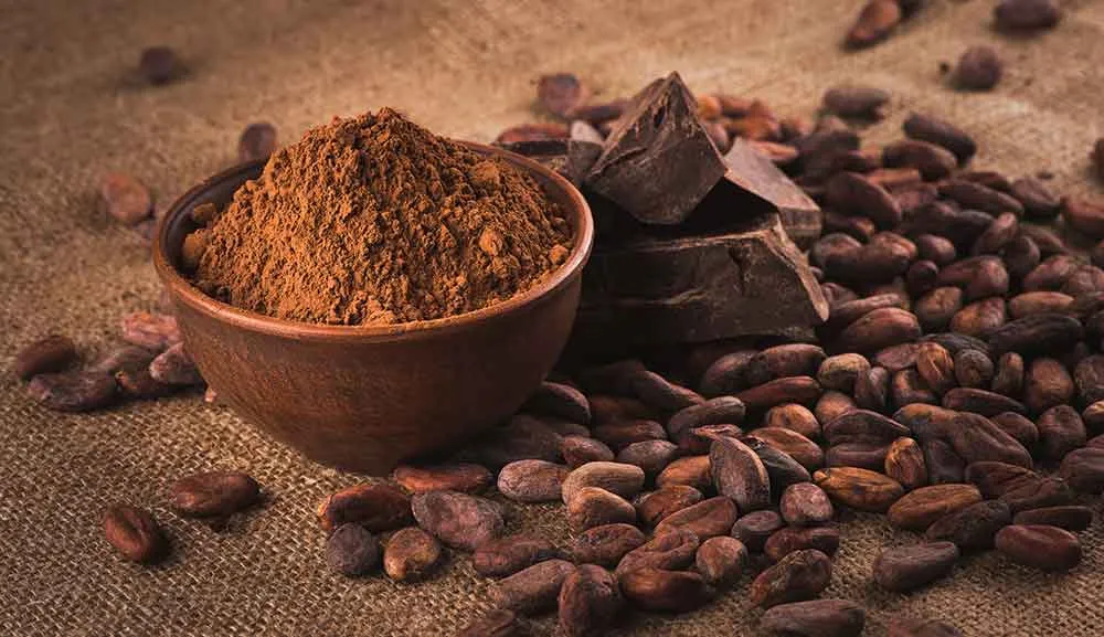 La burbuja del cacao estalla: El vaivén de precios y su efecto en las inversiones