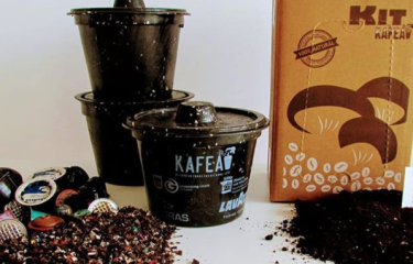 La economía circular que gira en torno al poso del café La economía circular que gira en torno al poso del café