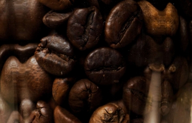 La exportación mundial de café asciende a los 8,5 millones de sacos durante octubre