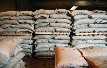 La siguiente Cumbre de Minoristas del Café se celebrará en verano en formato virtual